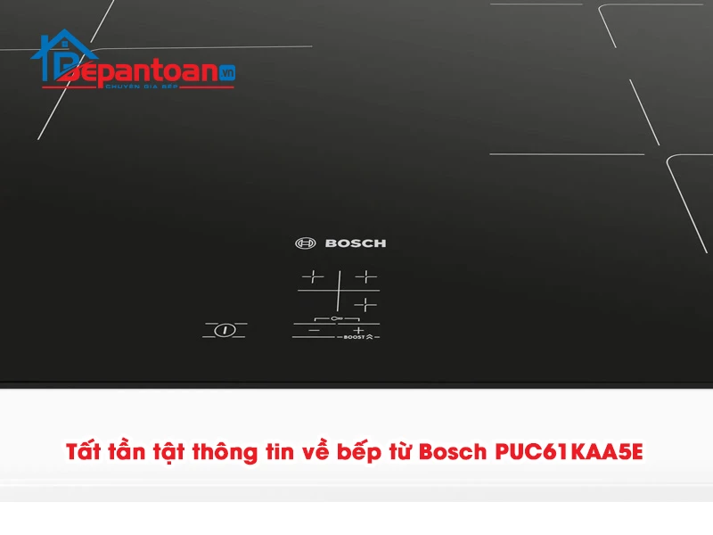 https://static.bepantoan.vn/userfiles/images/Bếp từ Bosch PUC61KAA5E.jpg
