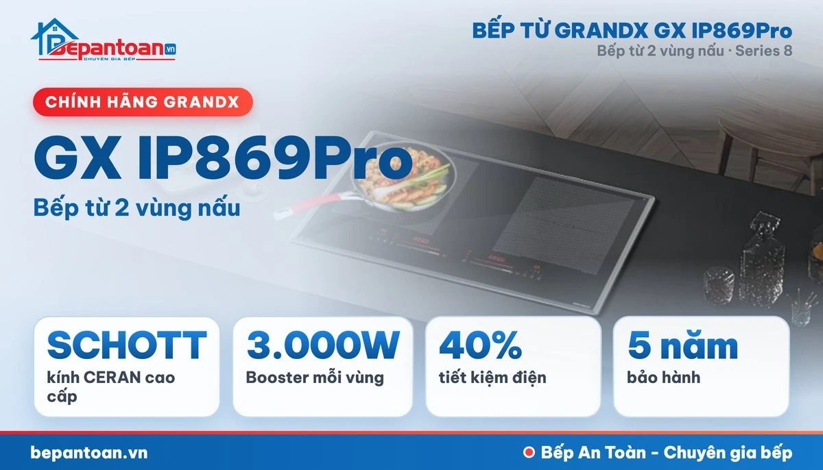 Bếp từ GrandX GX IP869Pro - tổng quan