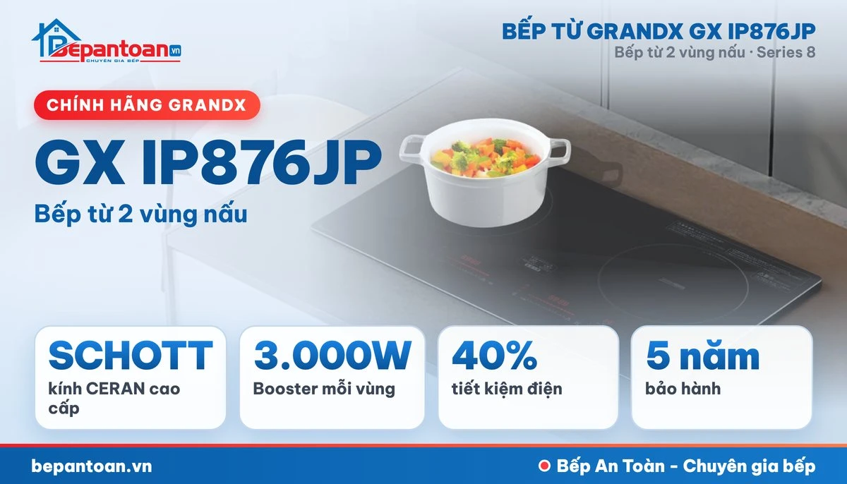 Bếp từ GrandX GX IP876JP - tổng quan