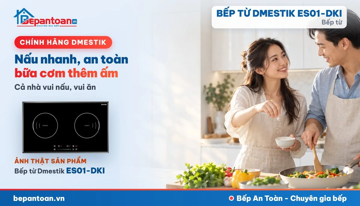 Bếp từ D'mestik ES01-DKI - gia đình