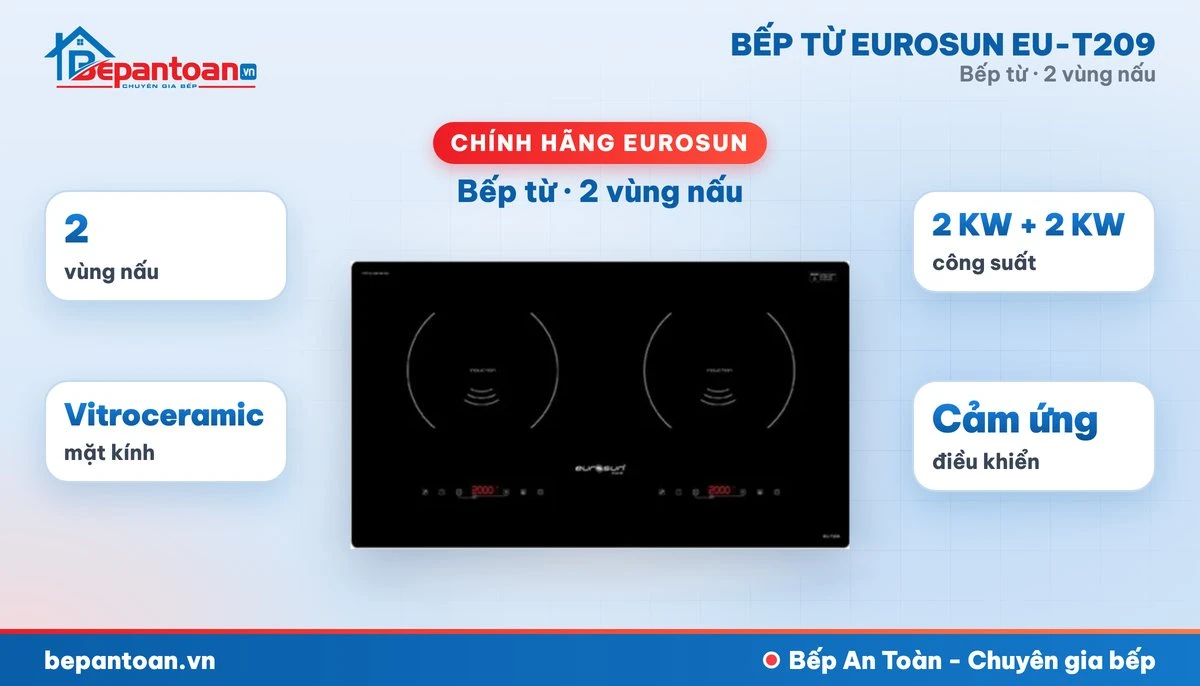 Bếp từ Eurosun EU-T209 - tổng quan