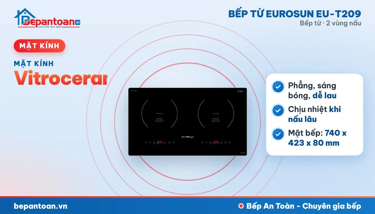 Bếp từ Eurosun EU-T209 - mặt kính