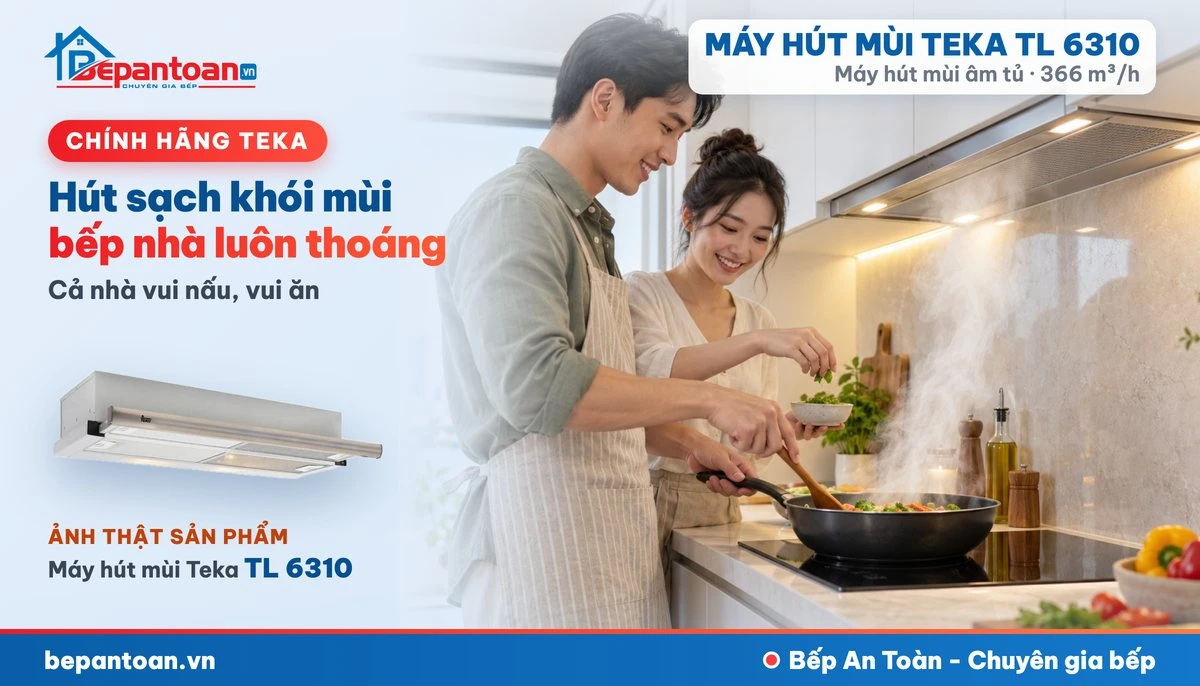 Máy hút mùi âm tủ Teka TL 6310 - gia đình